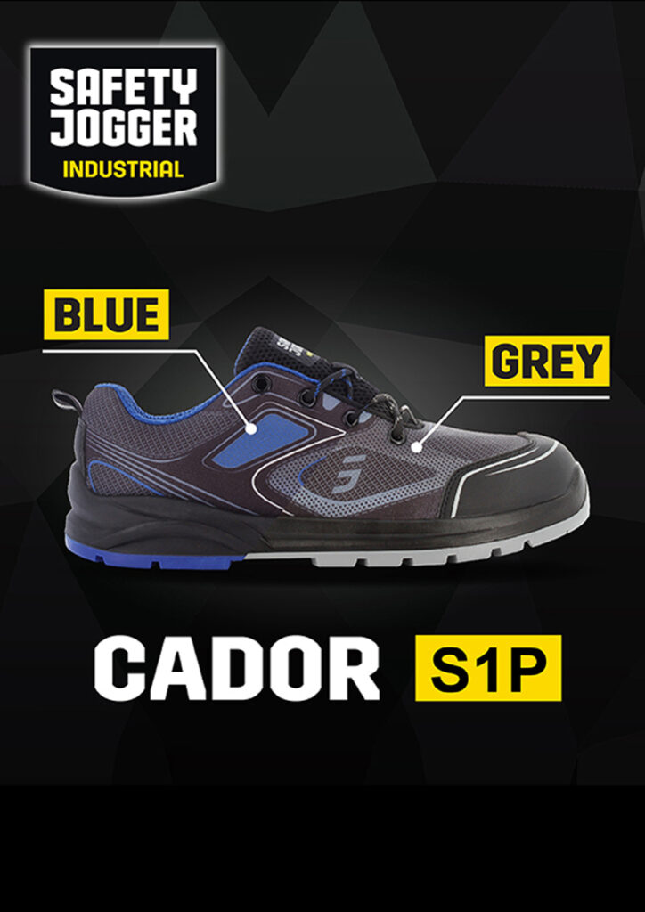 New arrivage SDFI 2024 P1