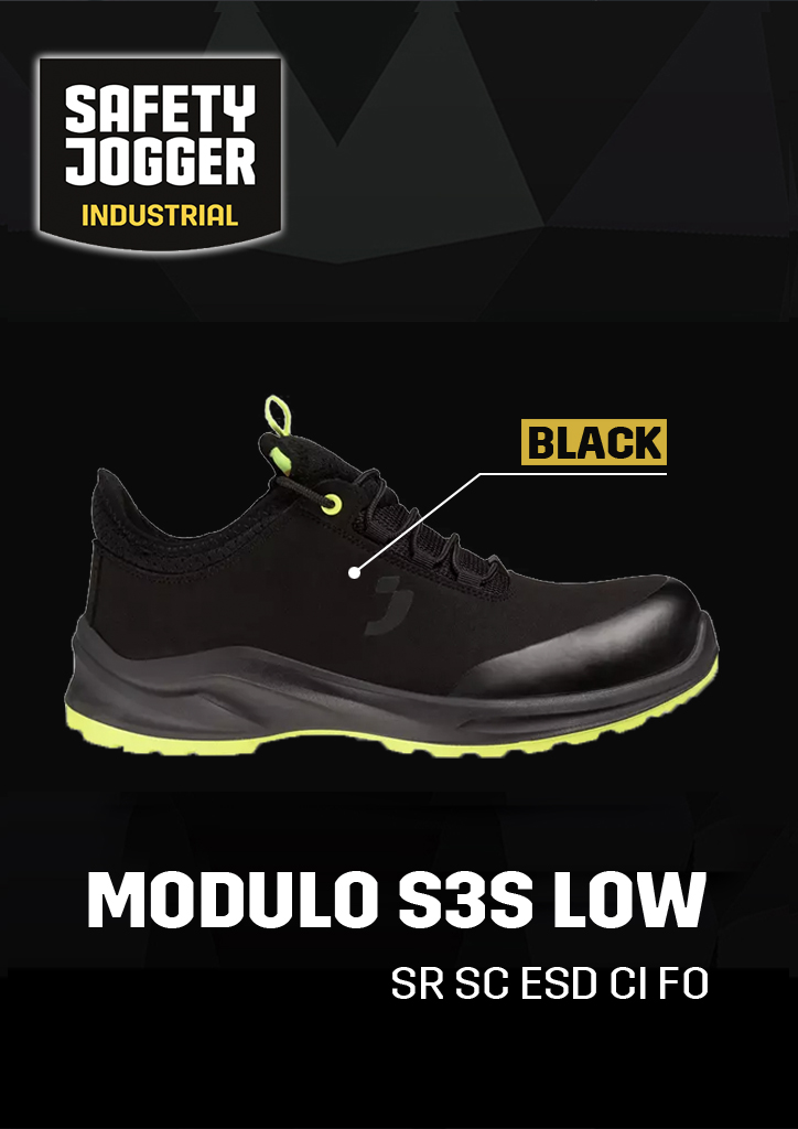 New arrivage SDFI 2024 P1